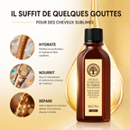 Huile Capillaire Premium à l'Argan du Maroc – 60ML